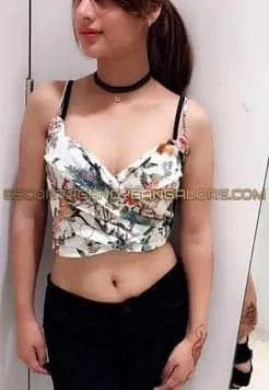 VIP Model